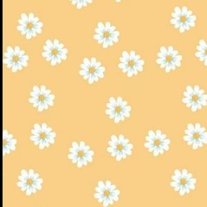 Meet your Posher, Mia